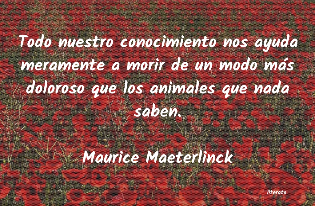 Frases de Maurice Maeterlinck