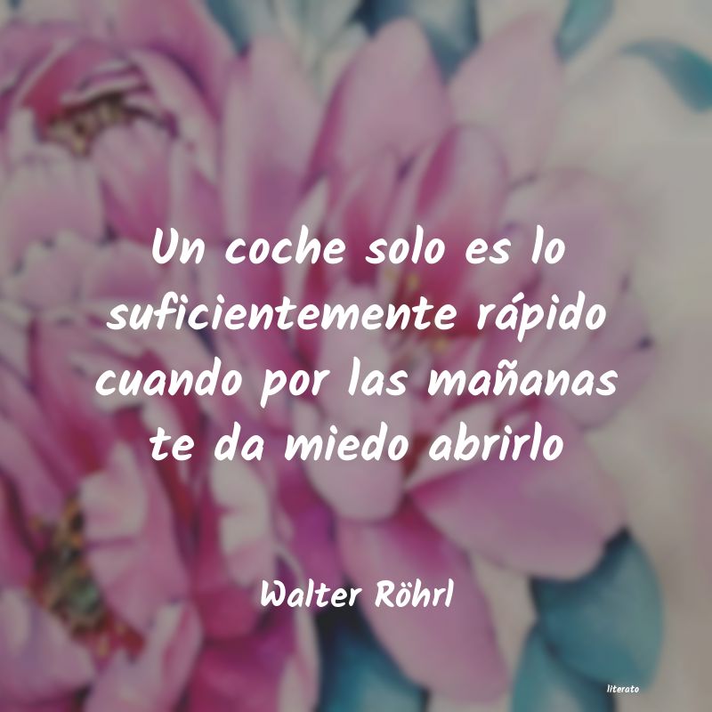 frases de Walter Röhrl