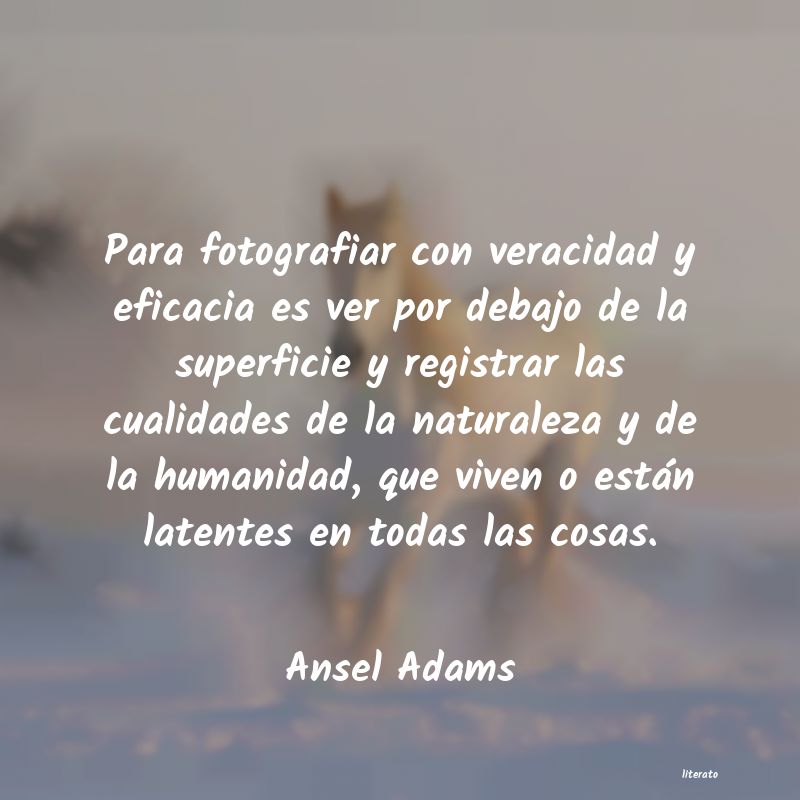 Frases de Ansel Adams