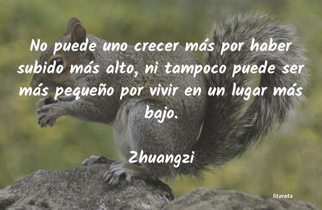 frases de Zhuangzi