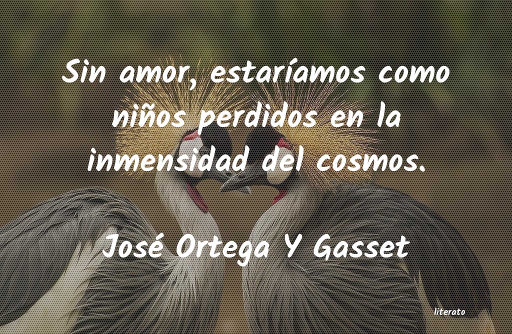 Frases de José Ortega Y Gasset