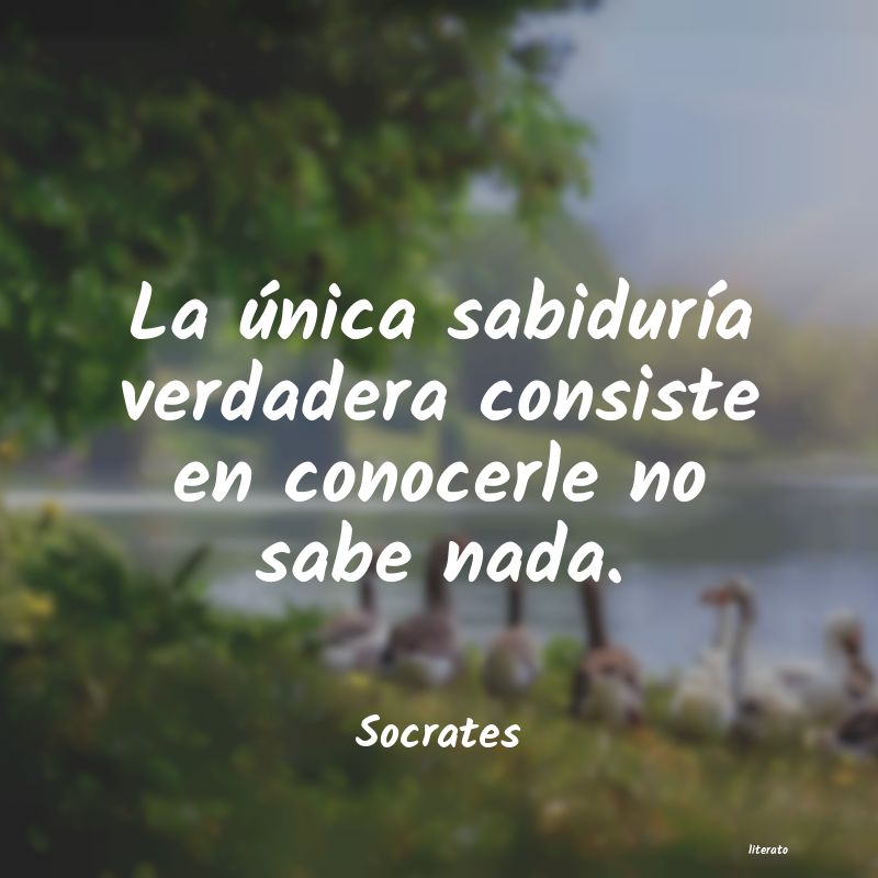 Frases de Socrates