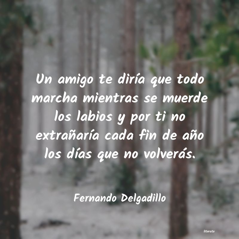 frases de Fernando Delgadillo