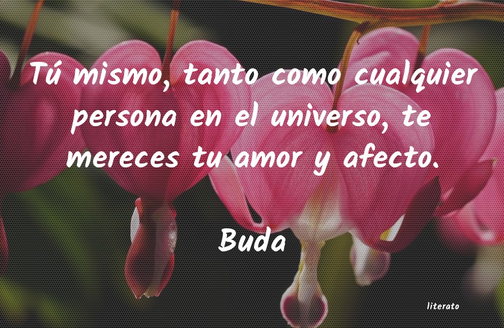 Frases de Buda