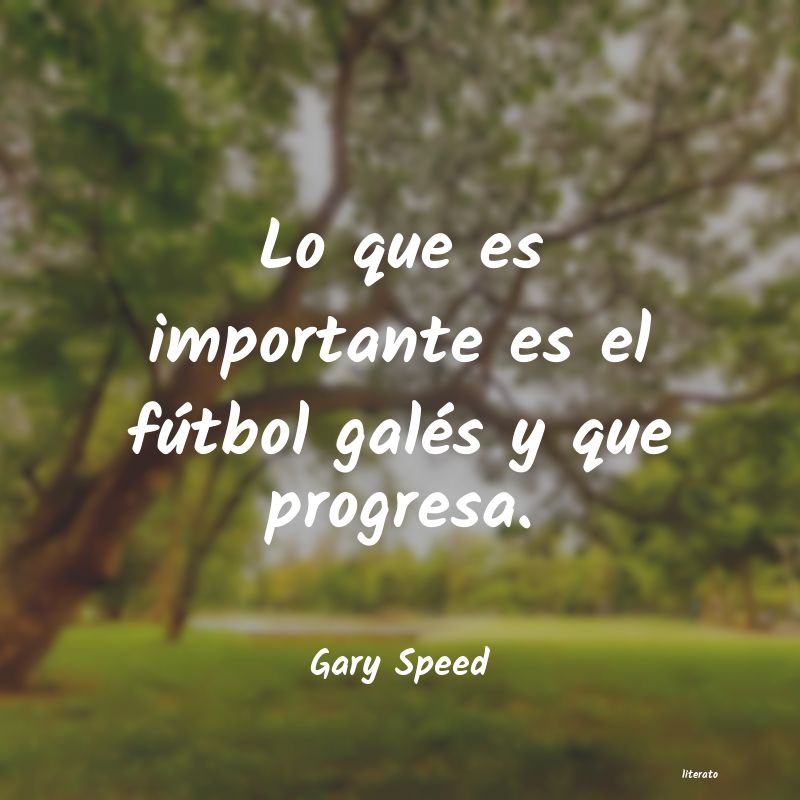 Frases de Gary Speed