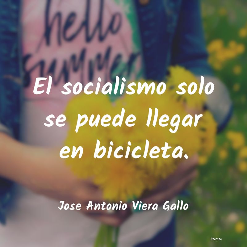 frases de Jose Antonio Viera Gallo