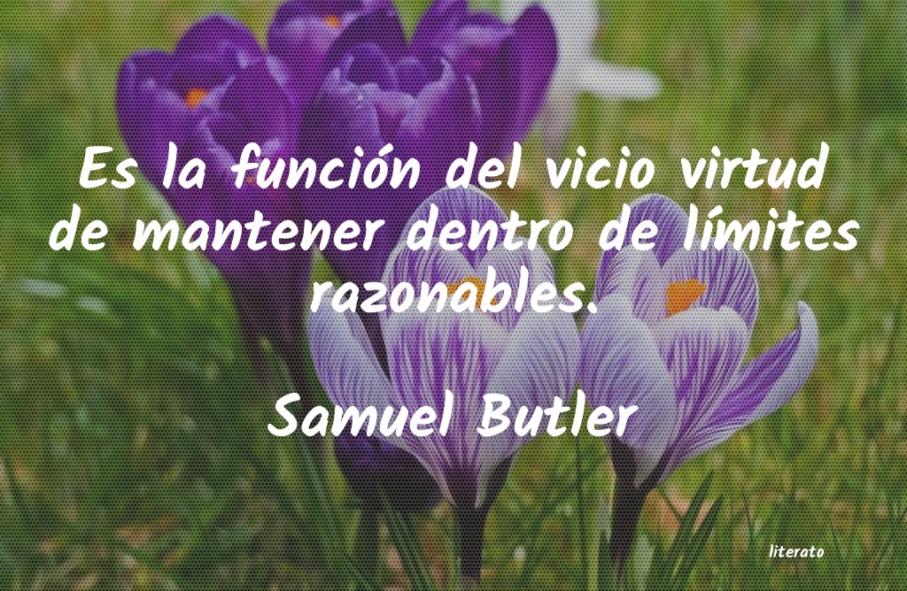 frases de Samuel Butler