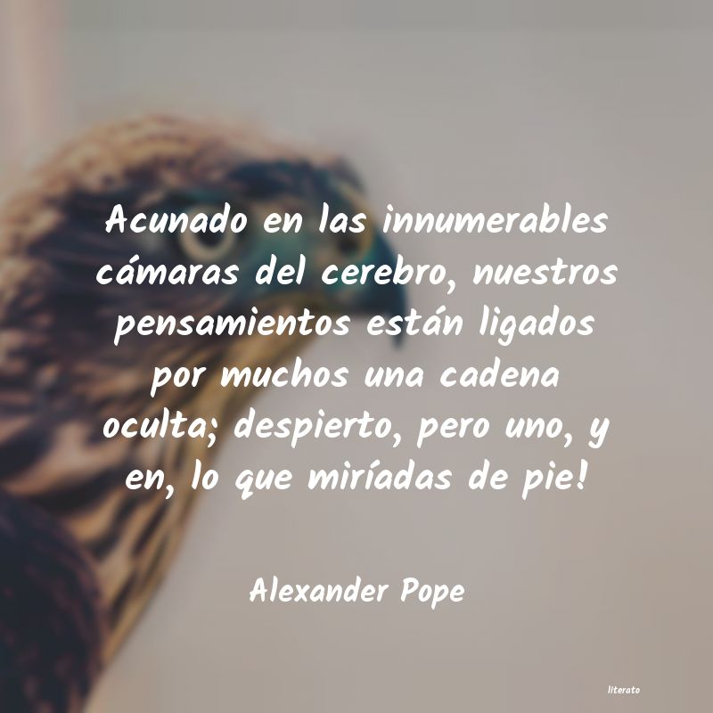 Frases de Alexander Pope