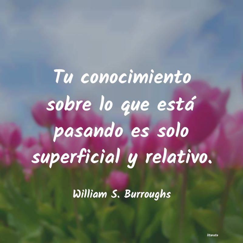 Frases de William S. Burroughs