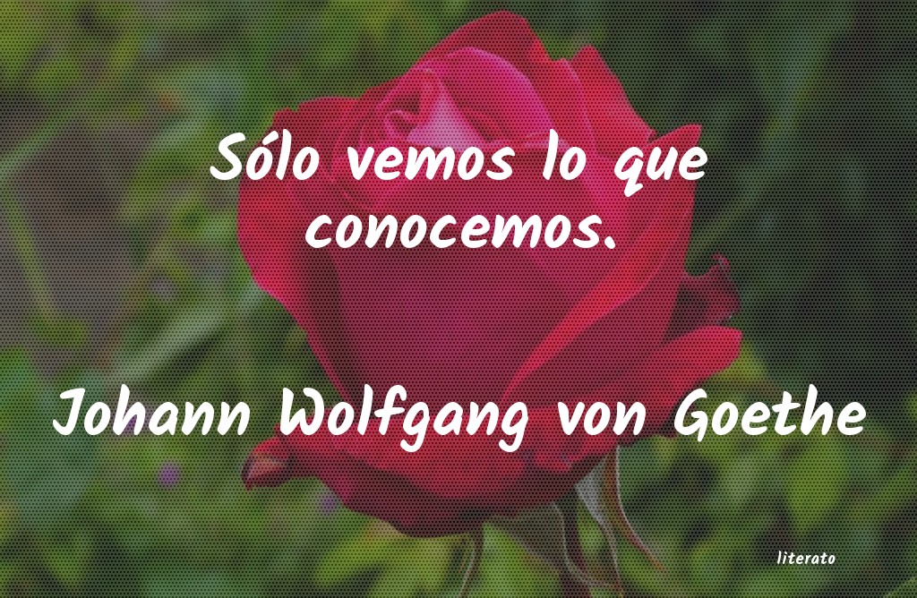 frases de Johann Wolfgang von Goethe