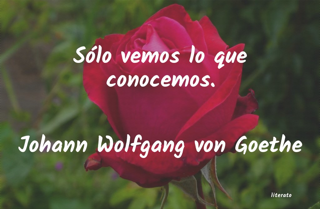 Frases de Johann Wolfgang von Goethe