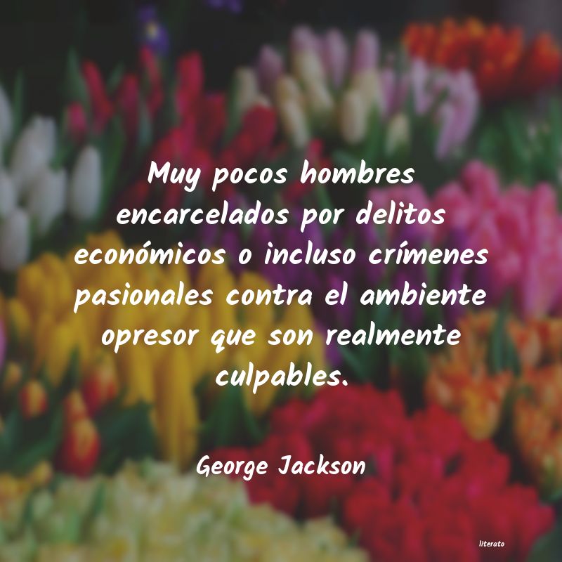 Frases de George Jackson