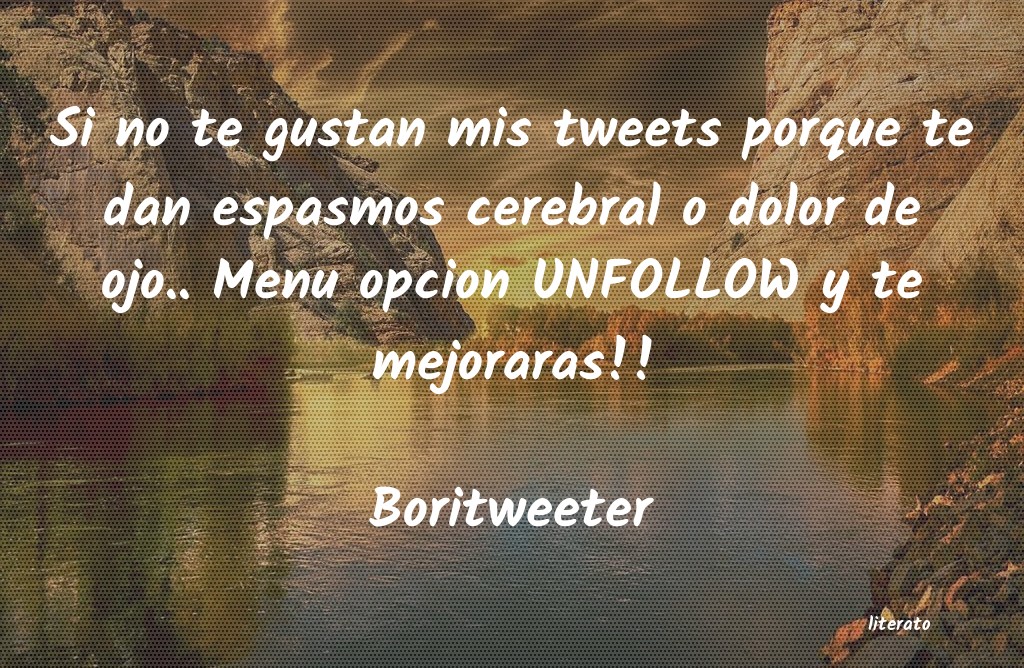 Frases de Boritweeter