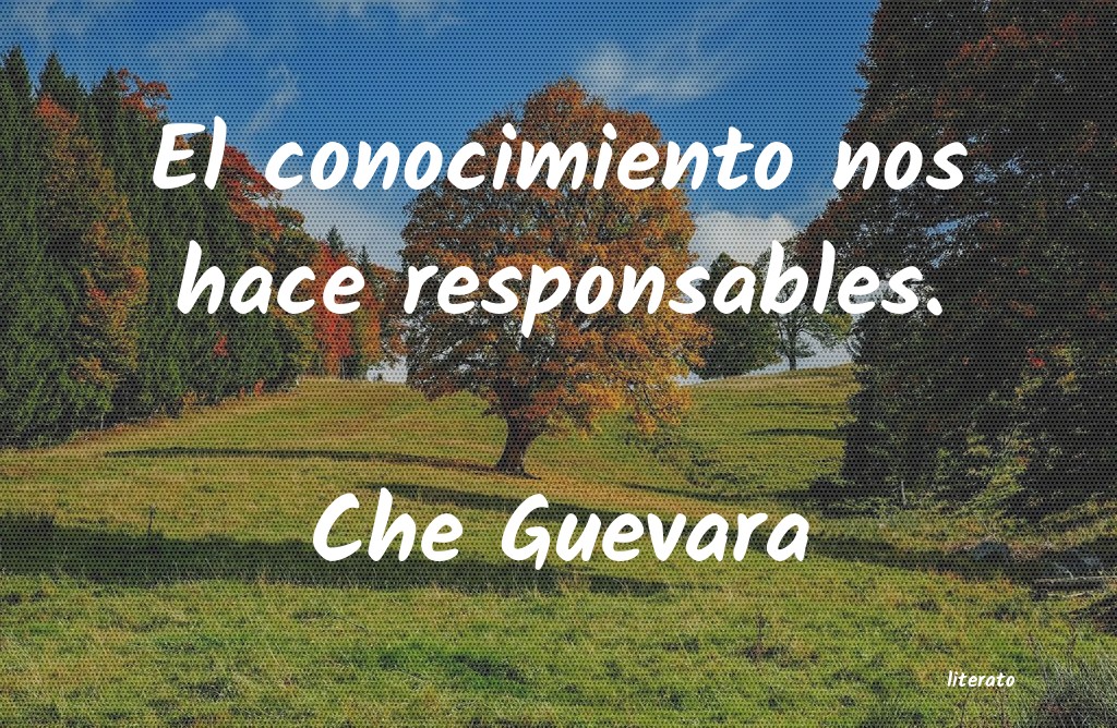 frases de Che Guevara