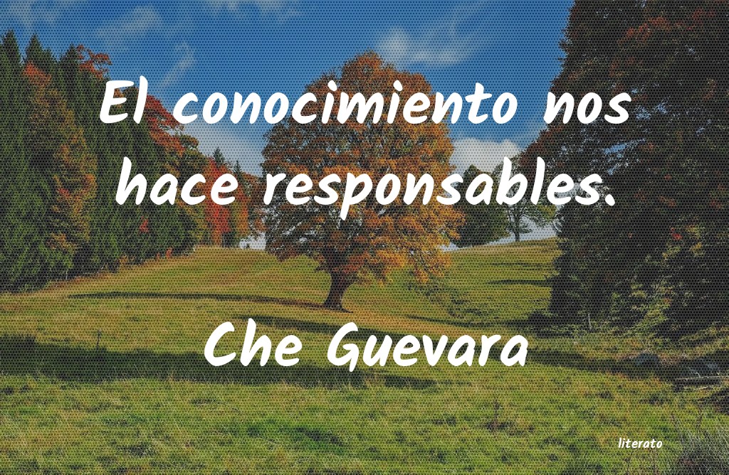 Frases de Che Guevara