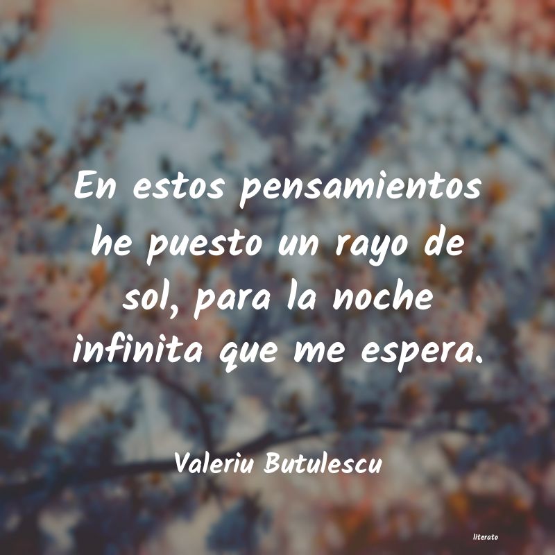 Frases de Valeriu Butulescu