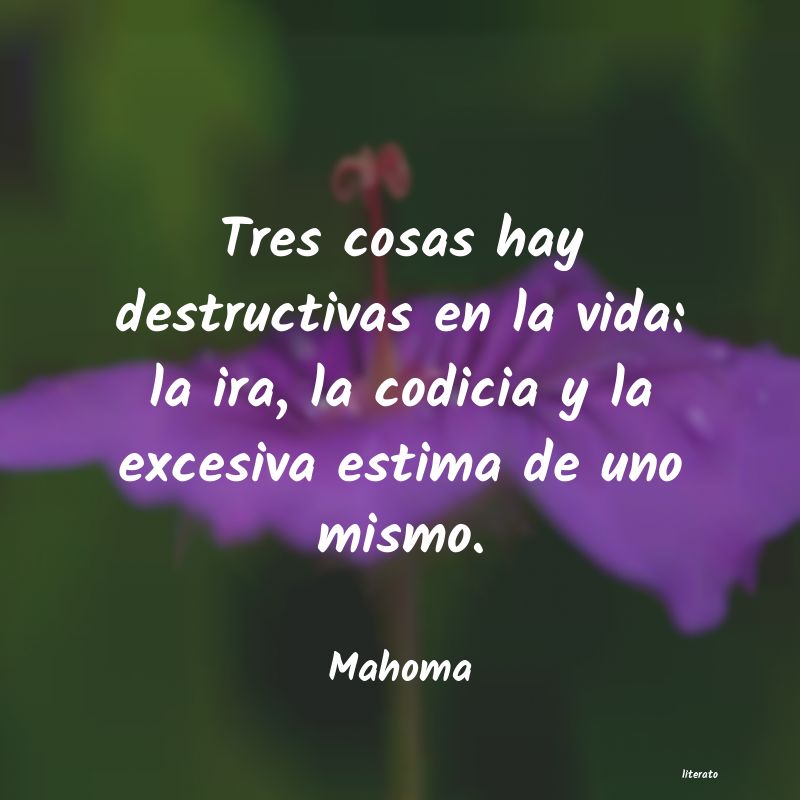 nietzsche codicia