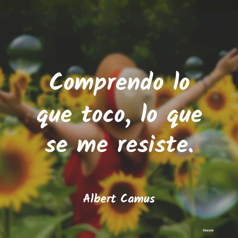 frases de Albert Camus