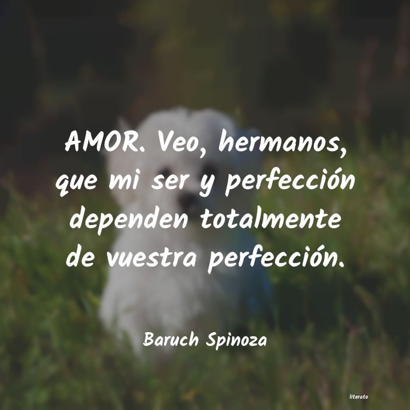 Frases de Baruch Spinoza