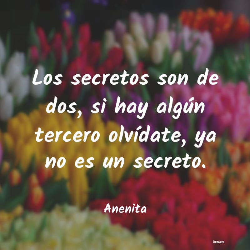 frases de admirador secreto