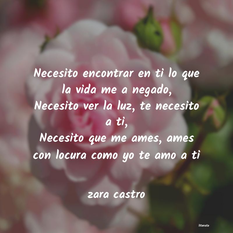 Frases de zara castro