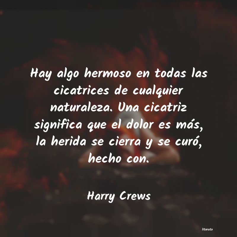 Frases de Harry Crews