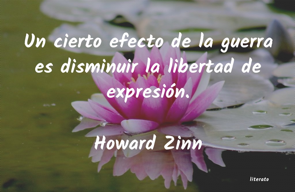 Frases de Howard Zinn