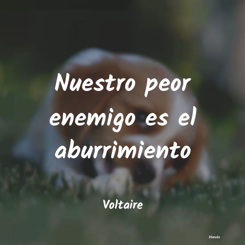 Frases de Voltaire