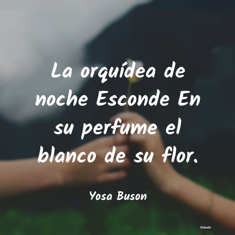frases de Yosa Buson