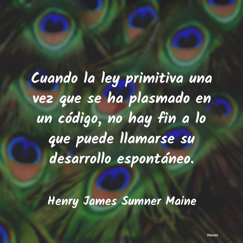frases de Henry James Sumner Maine