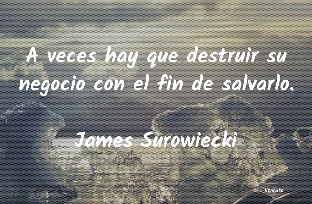 Frases de James Surowiecki