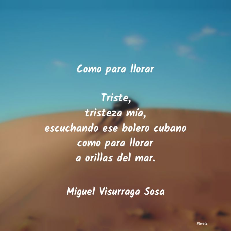 frases de Miguel Visurraga Sosa