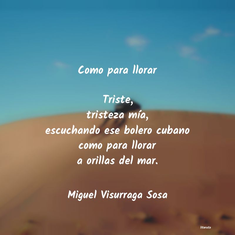 Frases de Miguel Visurraga Sosa