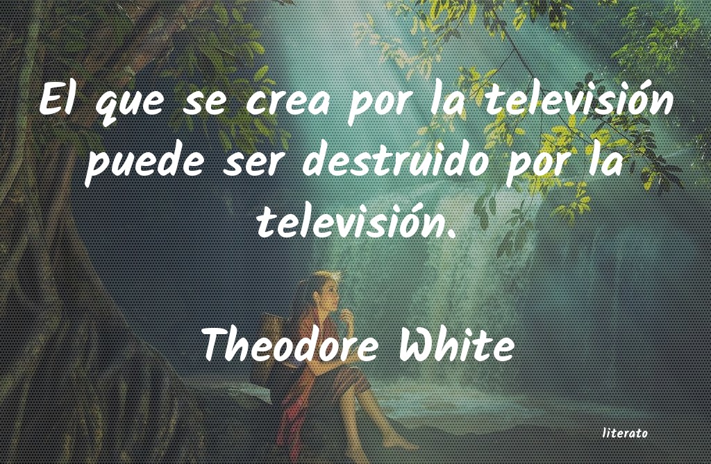 Frases de Theodore White