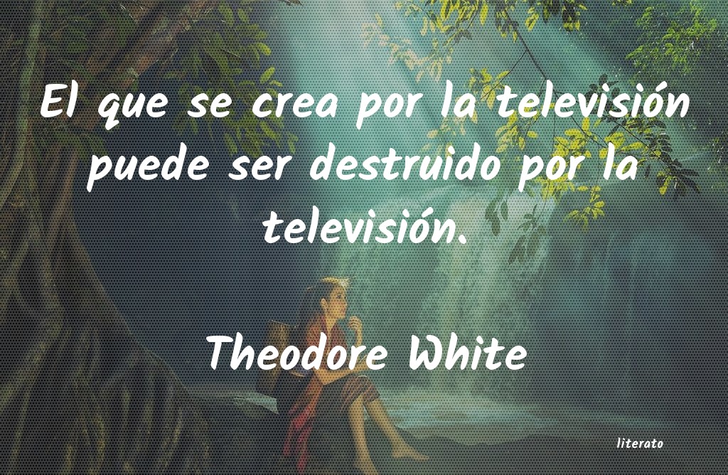 frases de Theodore White