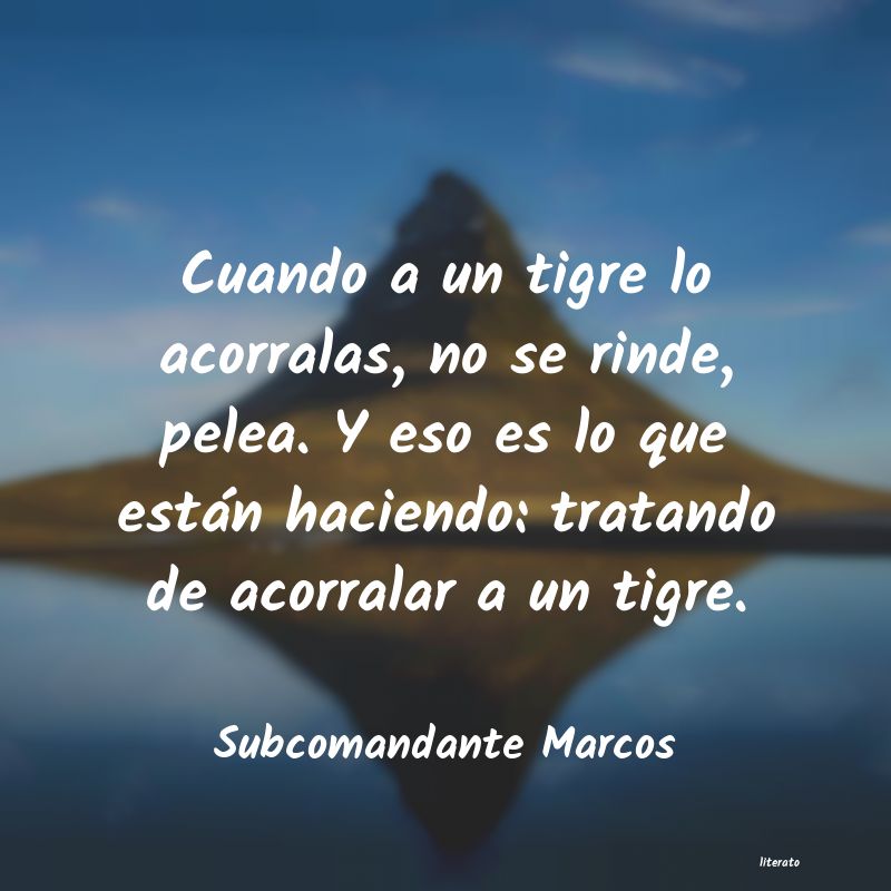 Frases de Subcomandante Marcos