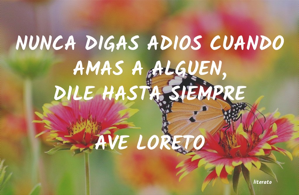 frases de AVE LORETO