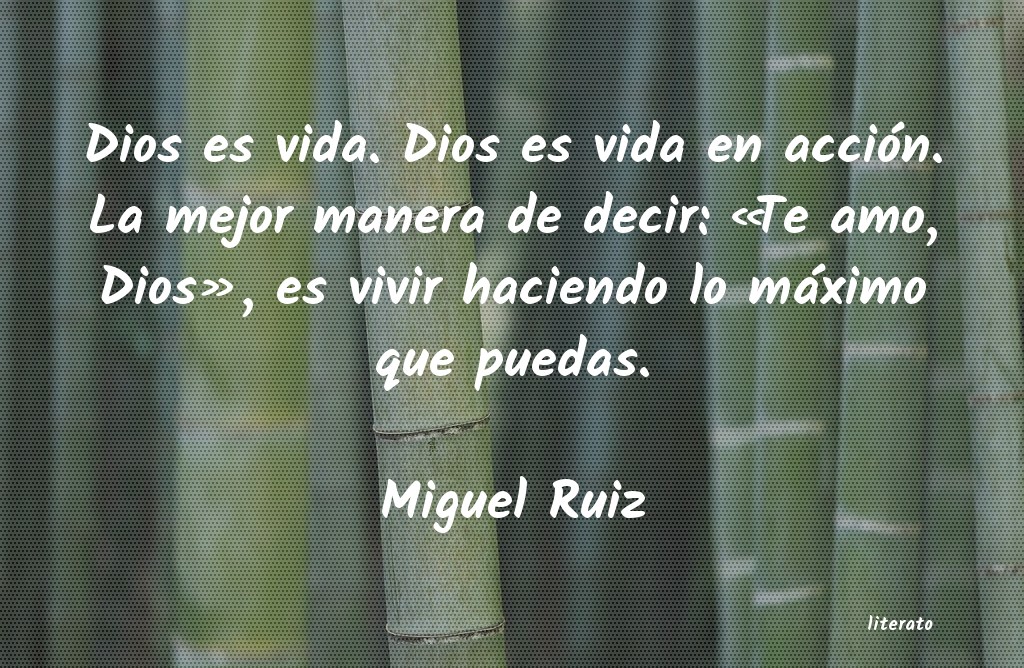 Frases de Miguel Ruiz