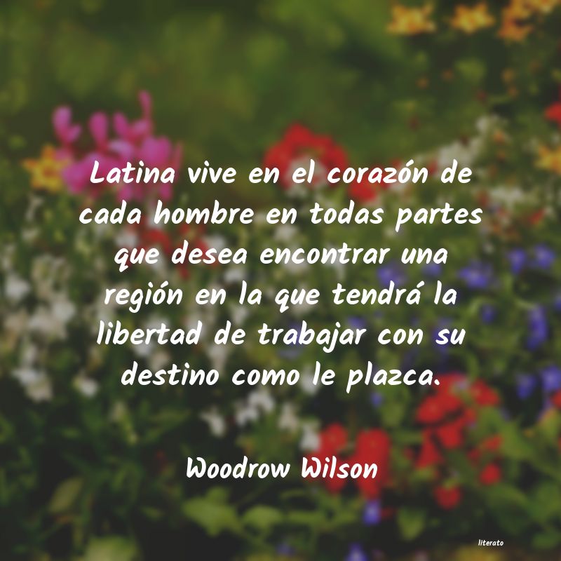 Frases de Woodrow Wilson