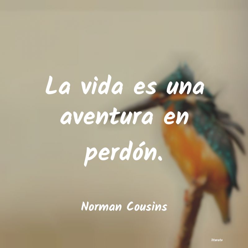 frases de Norman Cousins