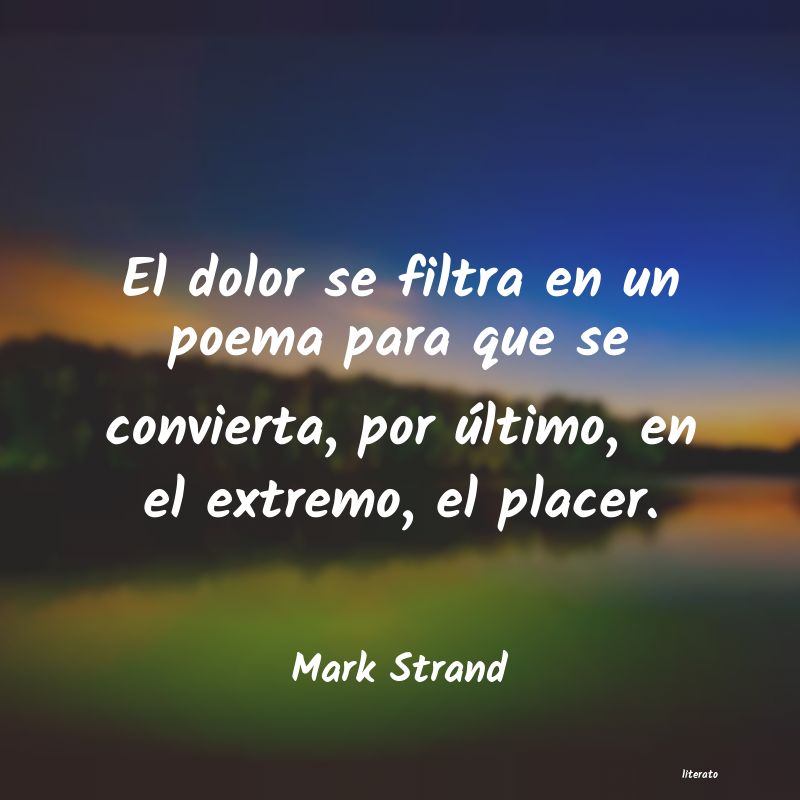 Frases de Mark Strand