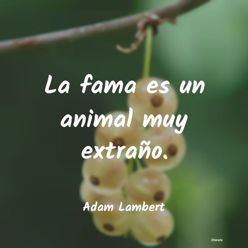 Frases de Adam Lambert