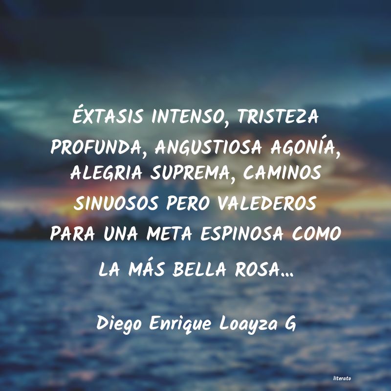 Frases de Diego Enrique Loayza G