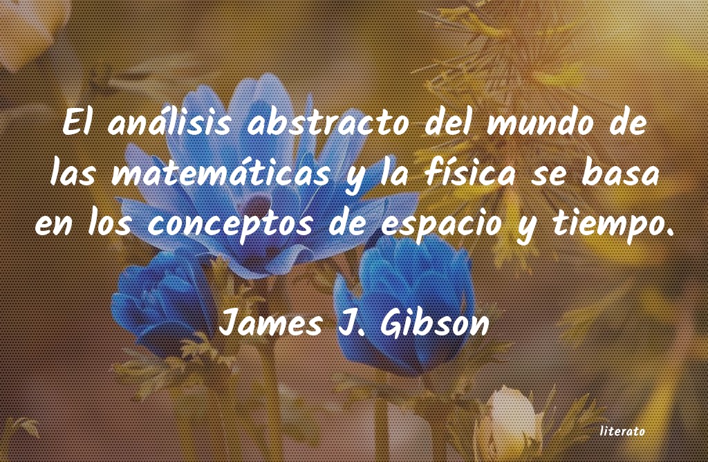 Frases de James J. Gibson