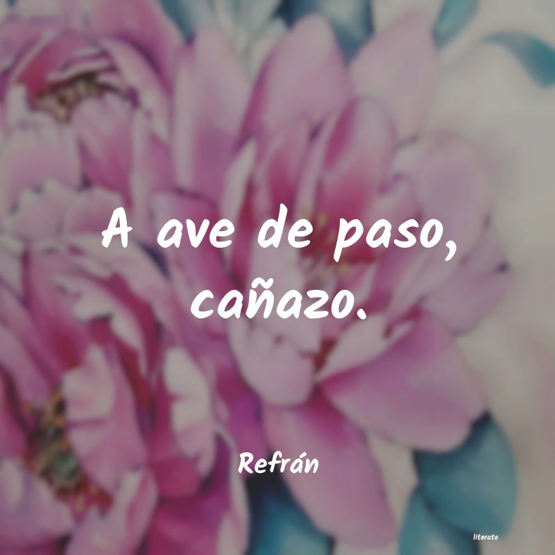 frases de Refrán