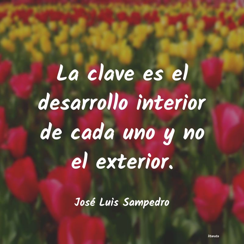 frases de José Luis Sampedro