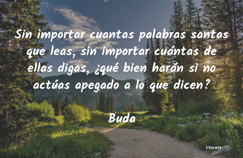 Frases de Buda