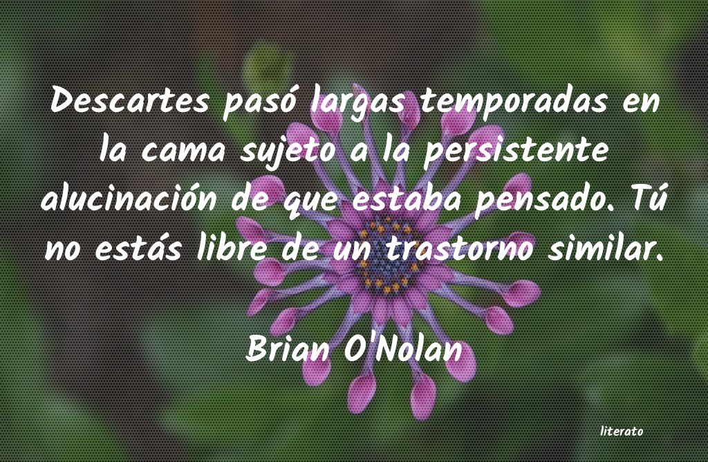 Frases de Brian O'Nolan