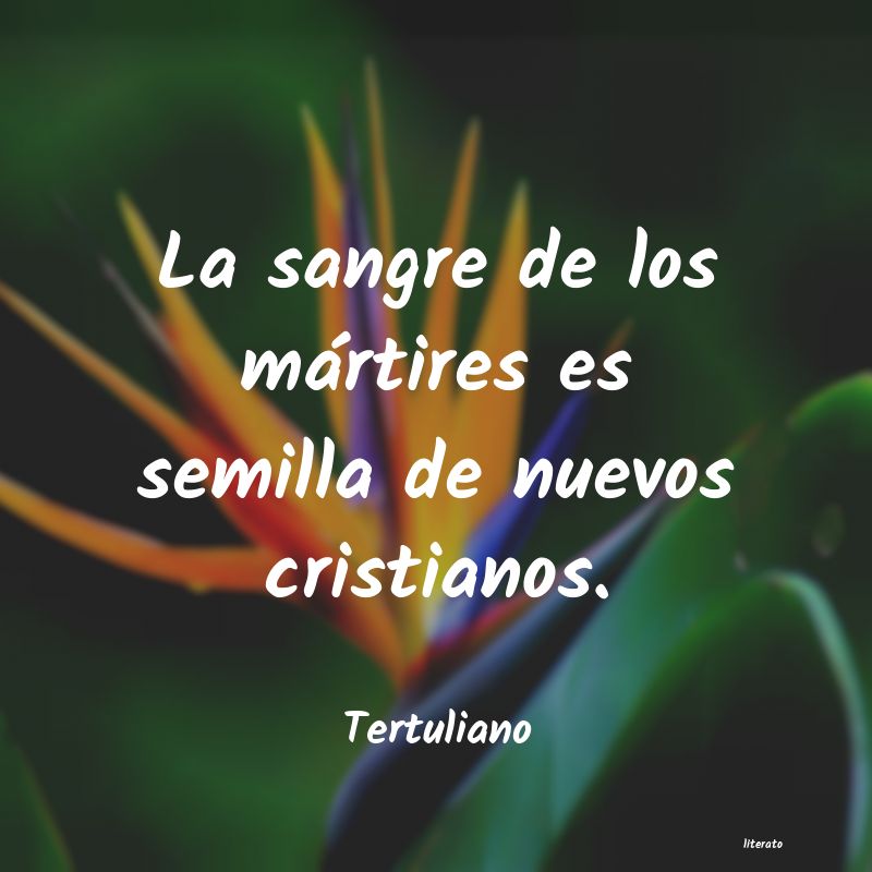 Frases de Tertuliano