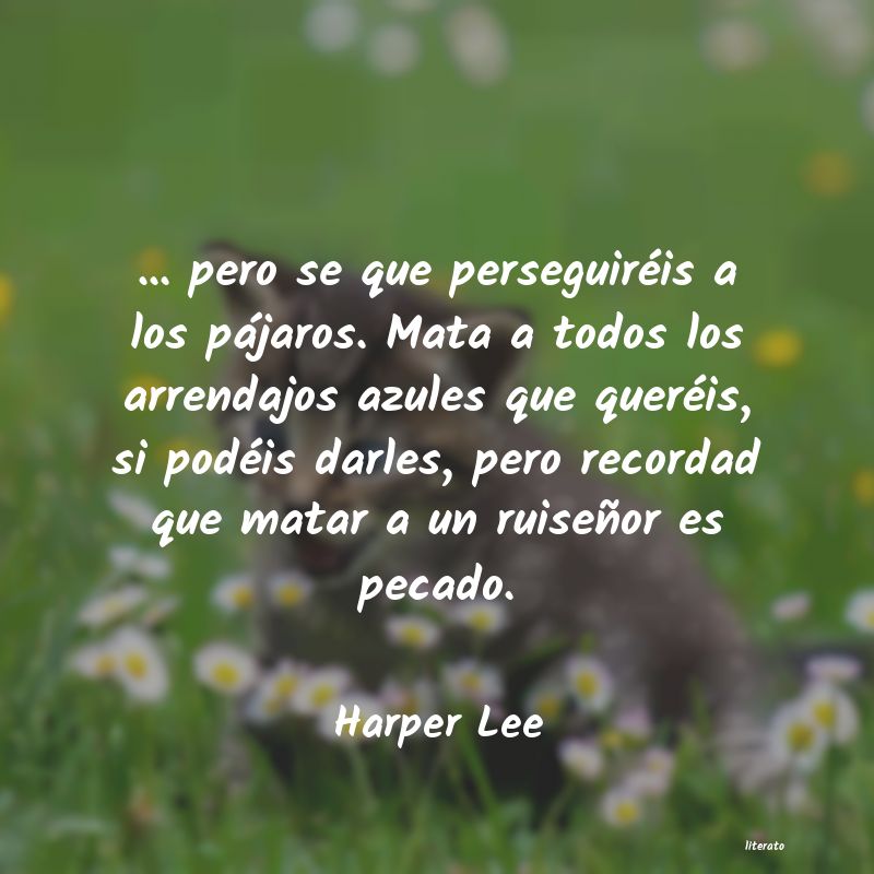 Frases de Harper Lee